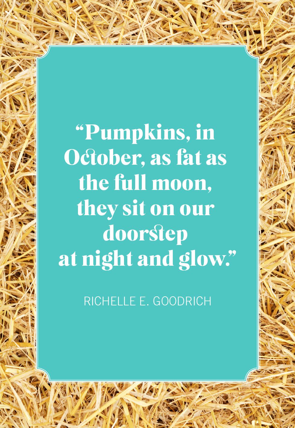 pumpkin quotes