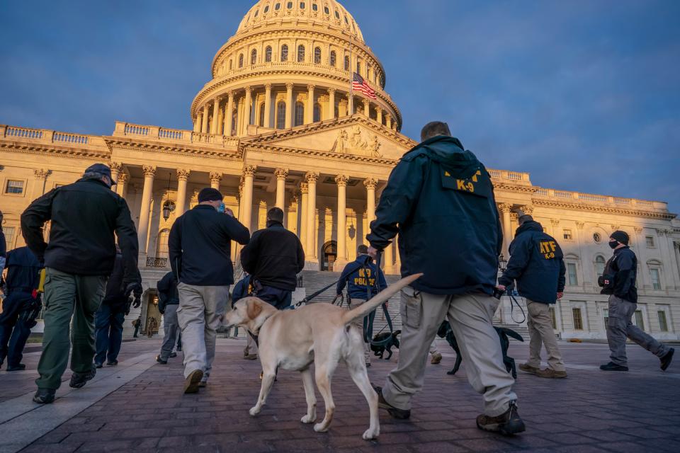 Federal K-9 units prepare for a security sweep in preparation for the inauguration ceremonies on Capitol HillAP