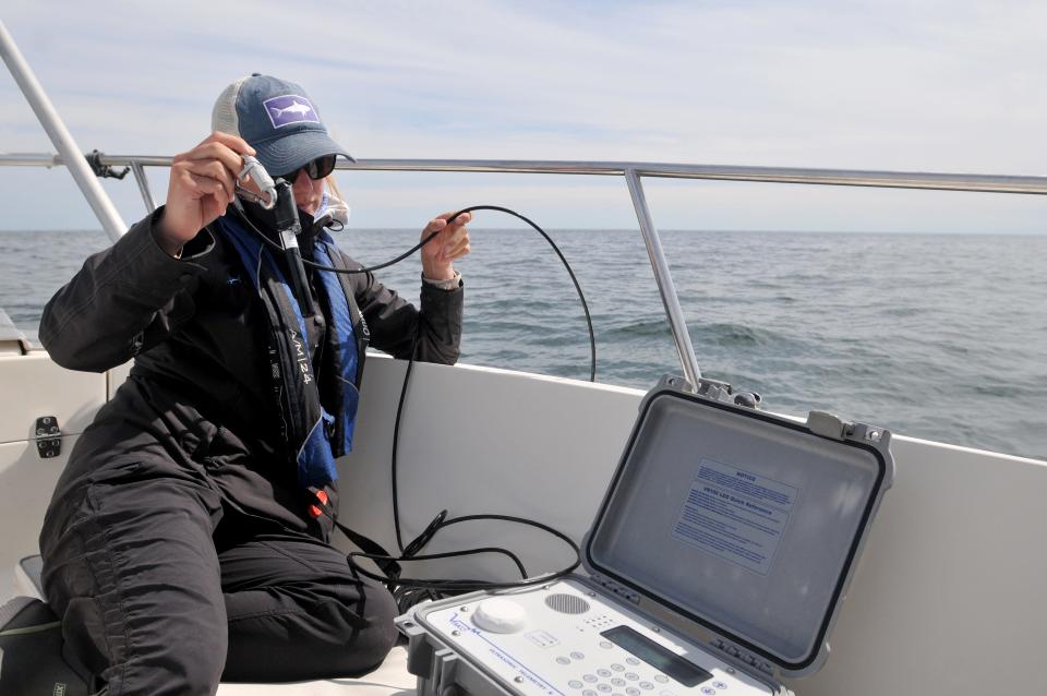 Atlantic White Shark Conservancy research coordinator Ashleigh Novak retrieves the acoustic receiver in August 2023 that was put in the water and is used for real-time manual tracking. Cape Cod shark researchers released their latest white shark report this month.