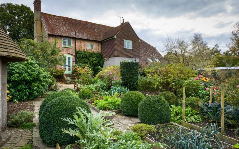 Box topiaries were a feature of Rosemary Alexander's garden at Sandhill Farm House until they were hit by disease - Anna Omiotek-Tott