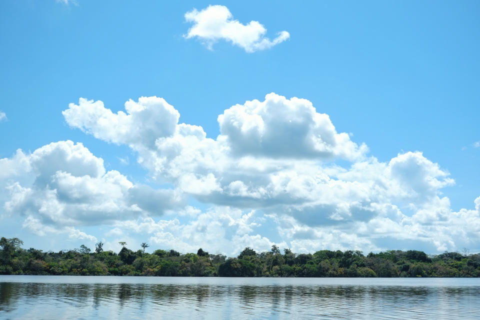 Jornalista e indigenista da Funai desapareceram na região do Vale do Javari, na Amazônia (Foto: Getty Images)