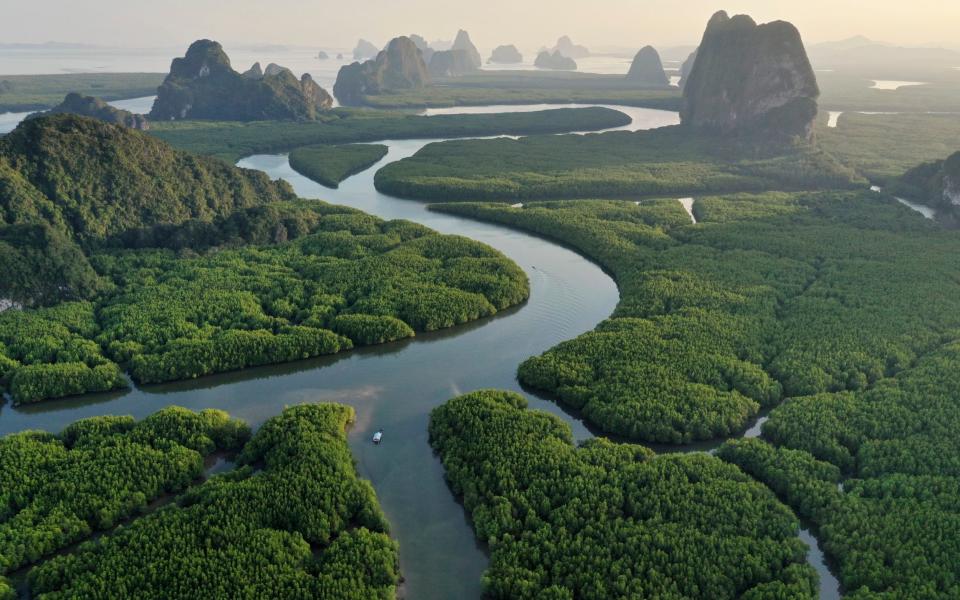 Aerial view of Phang nga bay in the sunset, Thailand - Bento Fotography/Getty