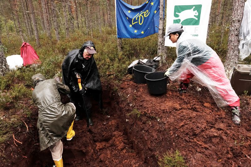 Volunteers build a dam to restore bog near Palmse