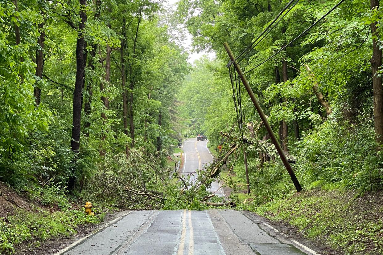 A downed tree is blocking Wayside Avenue between Mount Washington and Anderson Township on Wednesday morning after severe weather moved through the region Tuesday night.