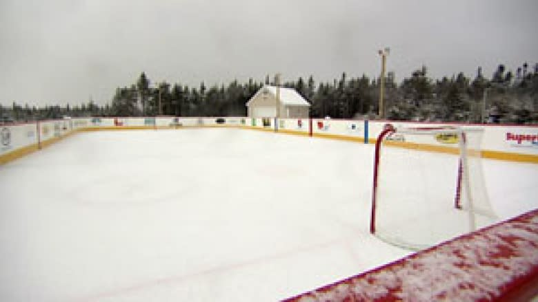Charitable backyard hockey rink nets $100K goal with off-season donation
