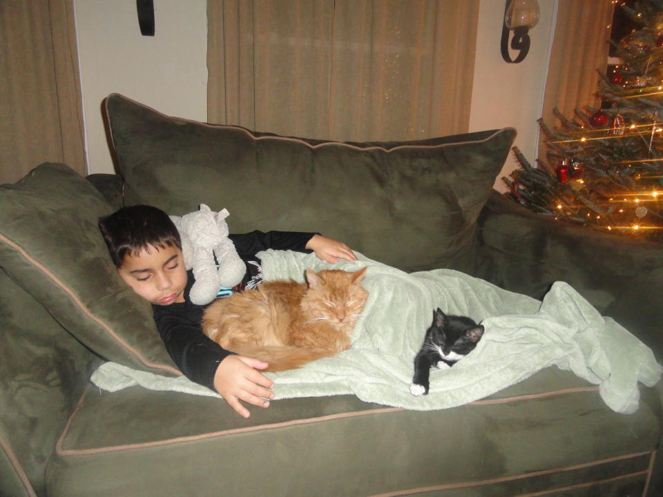 JJ (boy) Mr. Teddy (the white butt) Jeter (the orange cat) Minnie (the kitten)   We just had to put Jeter to sleep yesterday after 15 years of warmth and sweetness :'(      