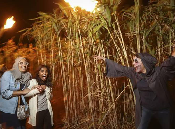 Kansas: Field of Screams, Maize