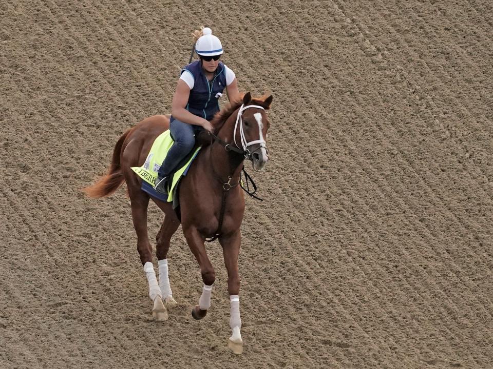 Kentucky Derby entrant Cyberknife works out at Churchill Downs.