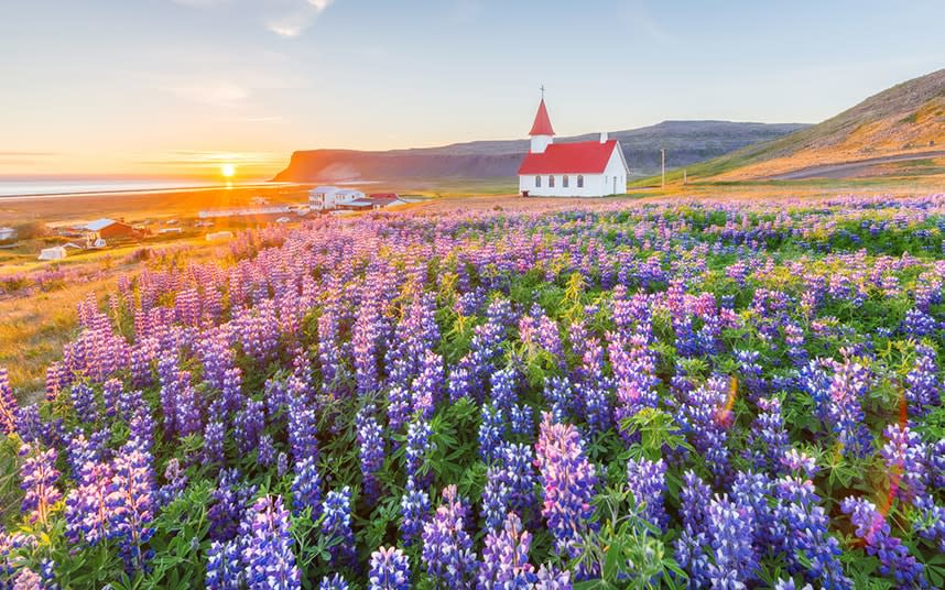 Spring has arrived in Iceland - © 2017 Noppawat Tom Charoensinphon