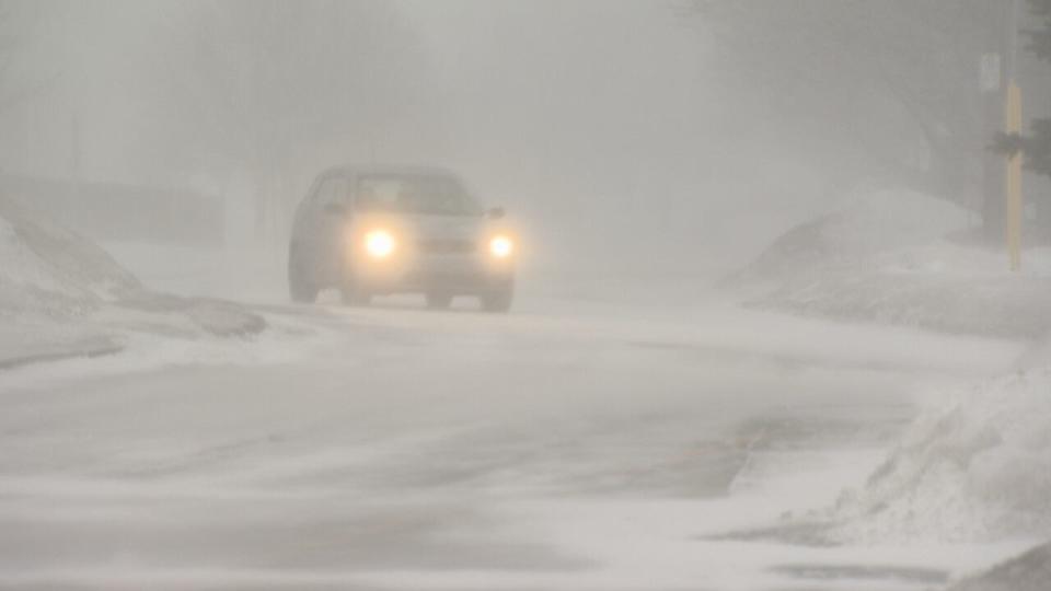 It's a blustery Valentine's Day morning in St. John's, as a blizzard is expected to dump up to 60 centimetres through Wednesday.