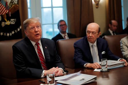 U.S. President Donald Trump speaks next to Commerce Secretary Wilbur Ross during a Cabinet meeting at the White House in Washington, U.S., February 12, 2019. REUTERS/Carlos Barria/Files