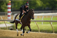 Preakness Stakes entrant Perform works out ahead of the 148th running of the Preakness Stakes horse race at Pimlico Race Course, Wednesday, May 17, 2023, in Baltimore. (AP Photo/Julio Cortez)