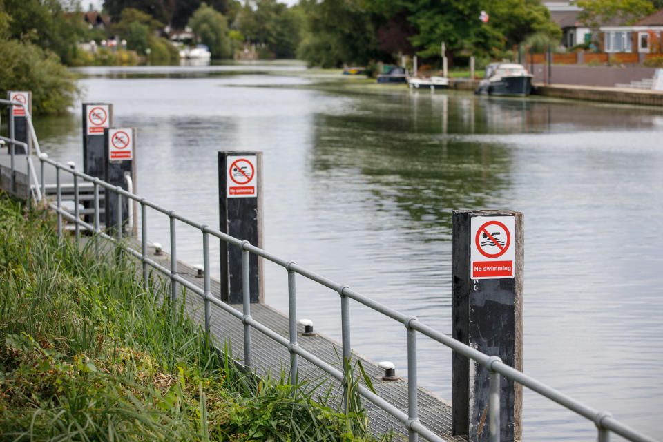 No swimming signs attached to posts on a dangerous section of the River Thames