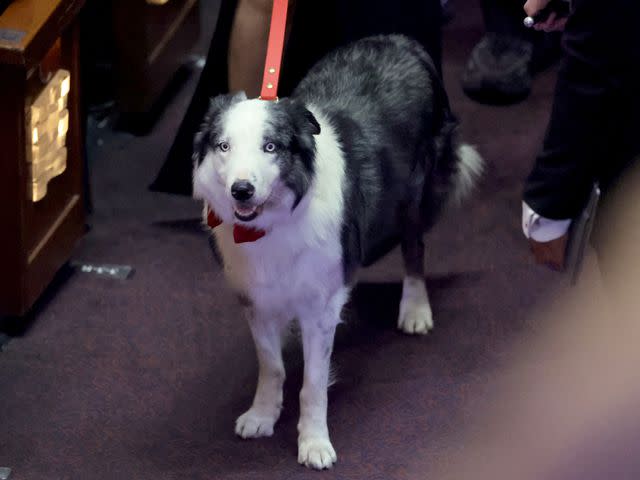 <p>Kevin Winter/Getty</p> Messi in the audience during the 96th Annual Academy Awards on March 10, 2024 in Hollywood, California.