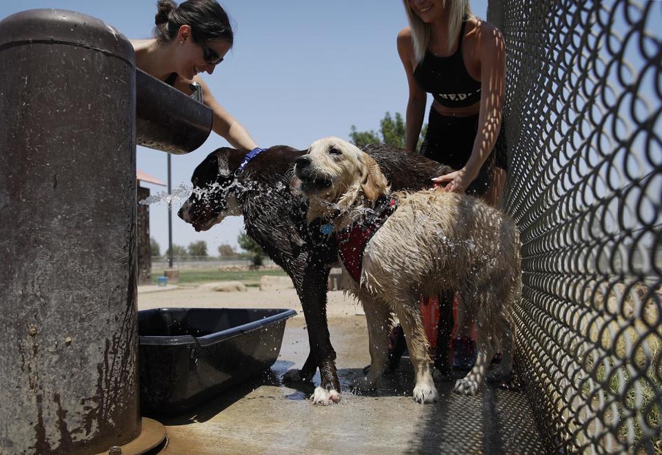 <p>Jennifer Boushy, left, and Jennifer Rellinger, right, cool off their dogs in water at a dog park, June 20, 2017, in Las Vegas. The first day of summer is forecast to bring some of the worst heat the southwestern U.S. has seen in years. (John Locher/AP) </p>