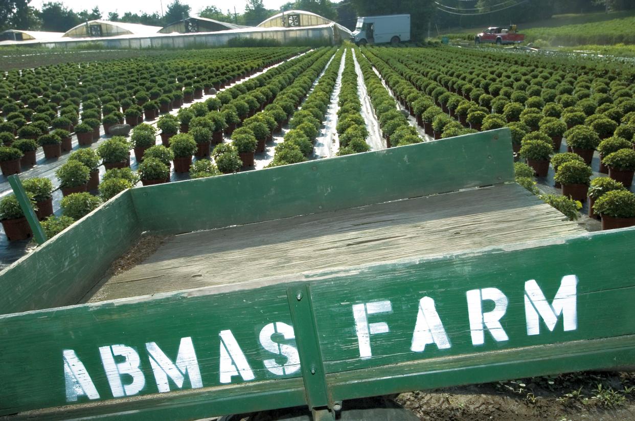Abma's Farm and Market in Wyckoff.