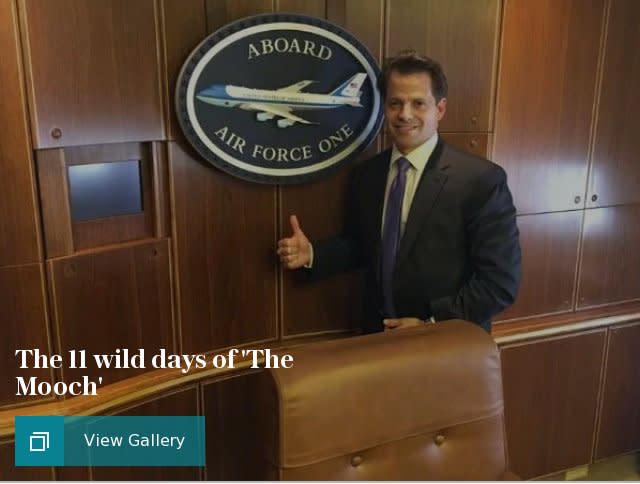 The 11 wild days of 'The Mooch', in pictures