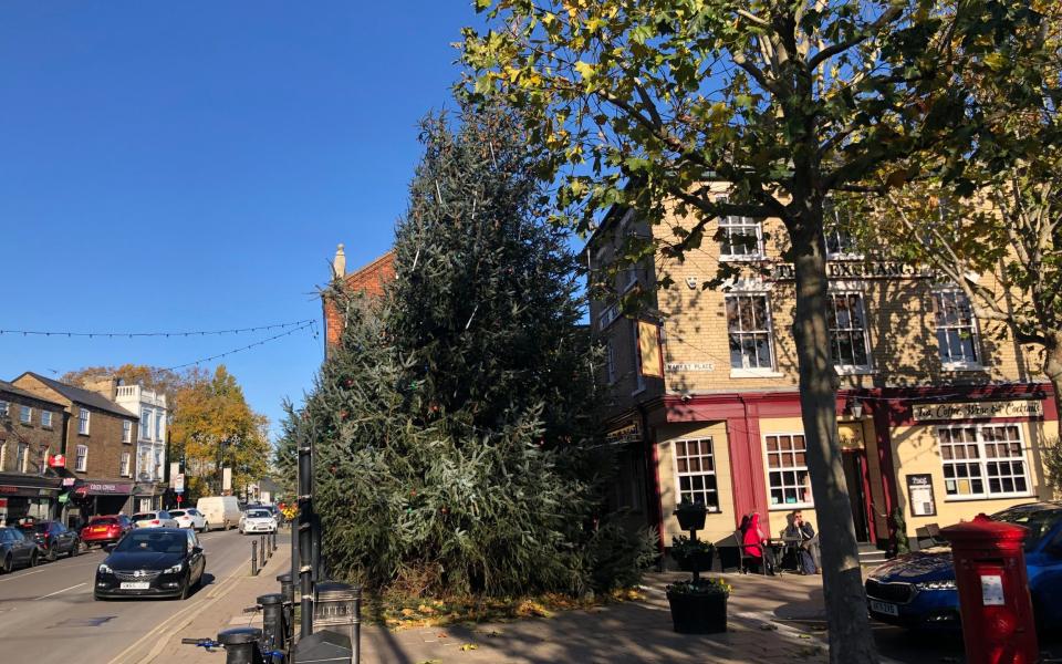 A "wonky" Christmas tree erected in March