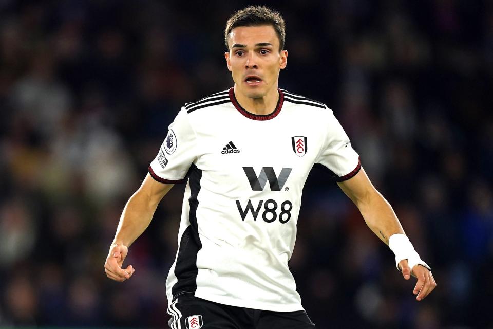 Joao Palhinha looks set to stay at Fulham (PA Archive)