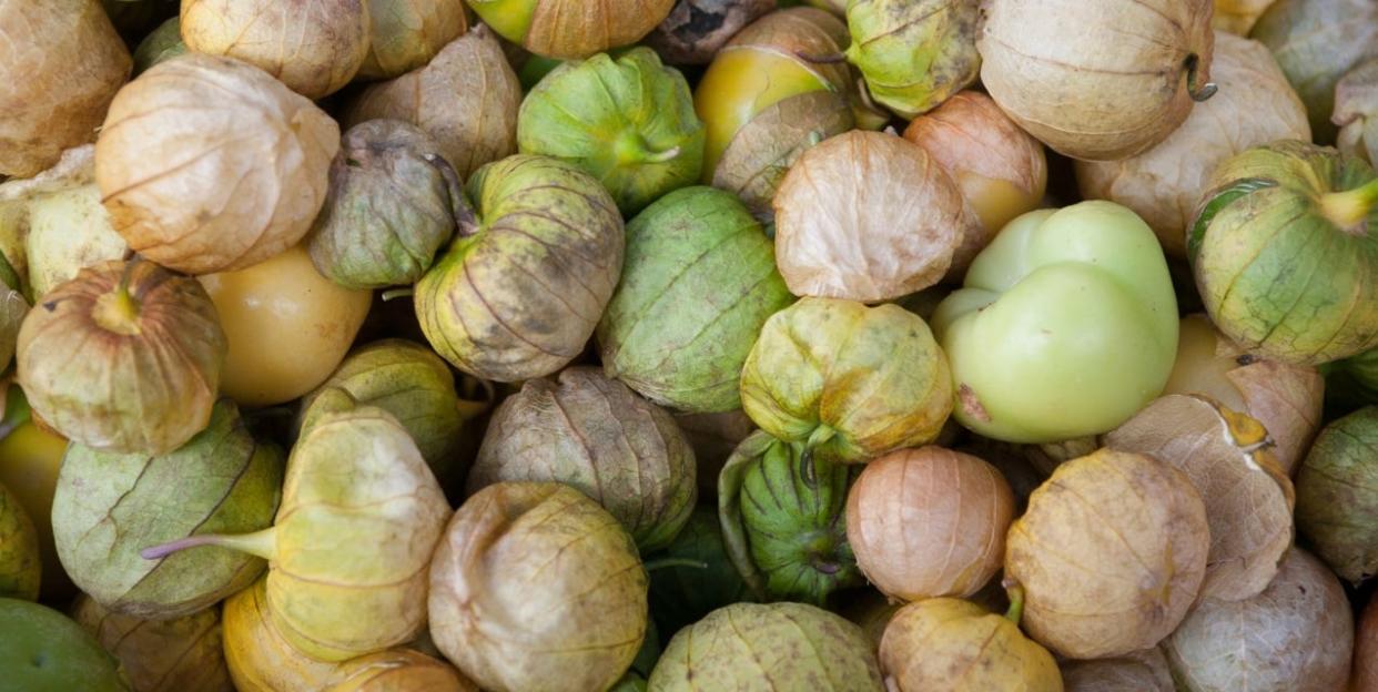 Tomatillos are fruit in the same plant family as tomatoes, peppers, eggplants and potatoes.