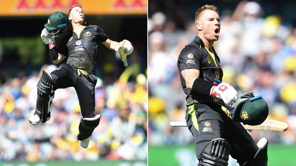 David Warner celebrated his birthday with a century against Sri Lanka.