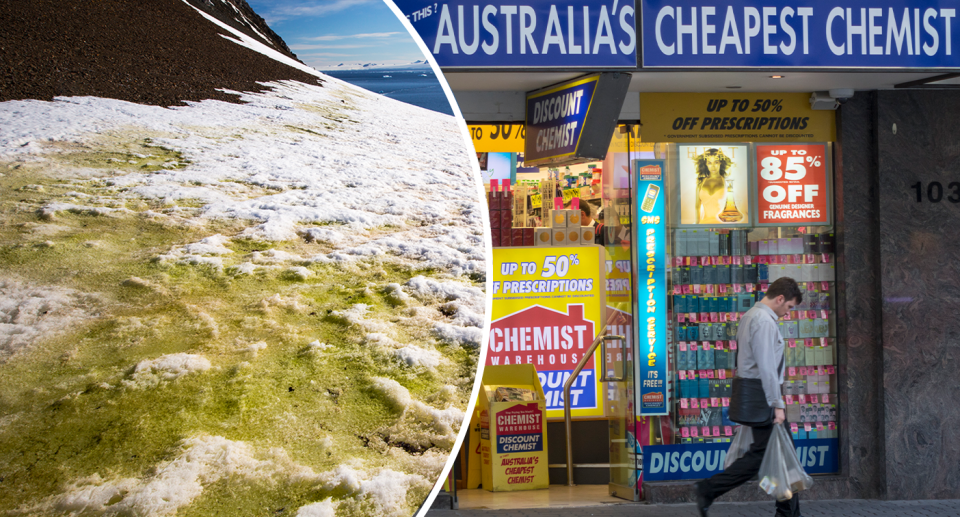 Left: greening Antarctica.  Right - A chemist in Australia.