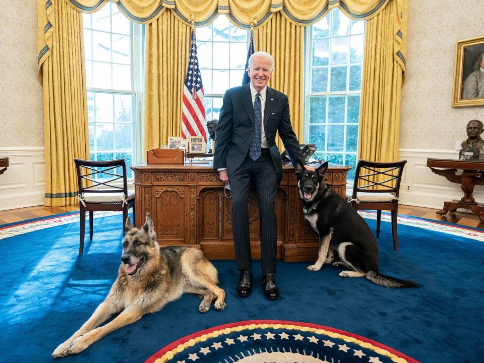 Joe Biden in Oval Office with Champ and Major