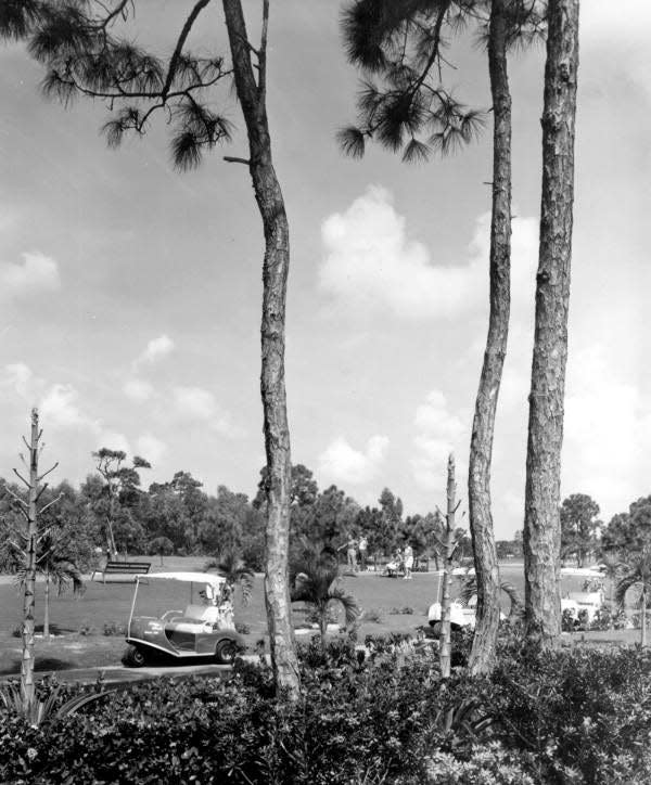 Vintage golf carts on Marco Island as golfers tee off.