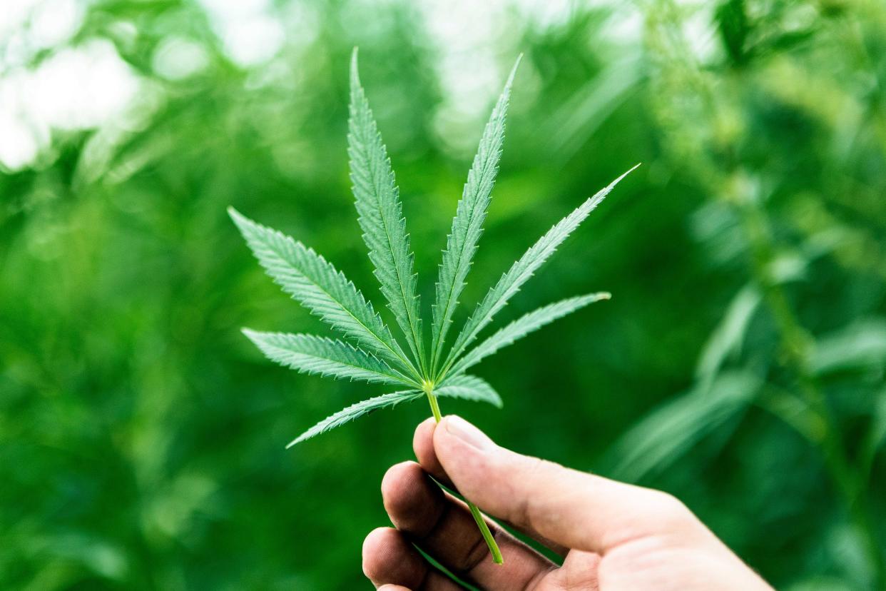 The Eastern Band of Cherokee Indian's medical marijuana dispensary will open on April 20, making it the first marijuana dispensary to open in North Carolina, despite the drug being illegal in the state.