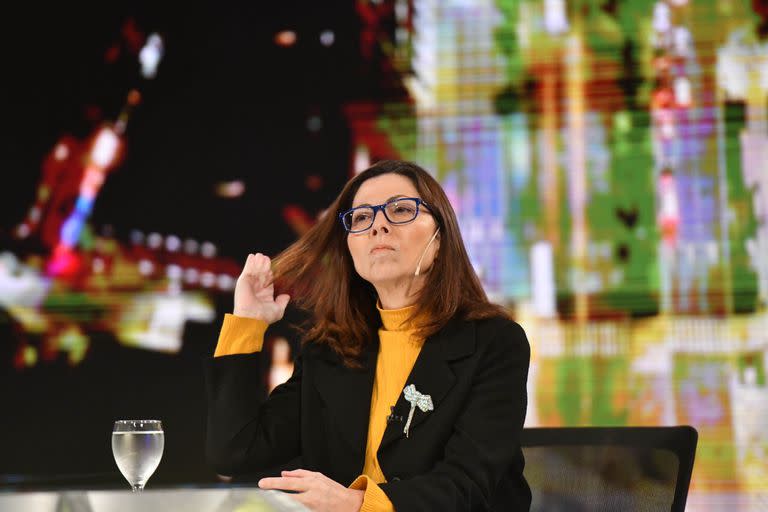 Silvina Batakis, la flamante ministra de Economía, cuestionó los viajes al exterior 