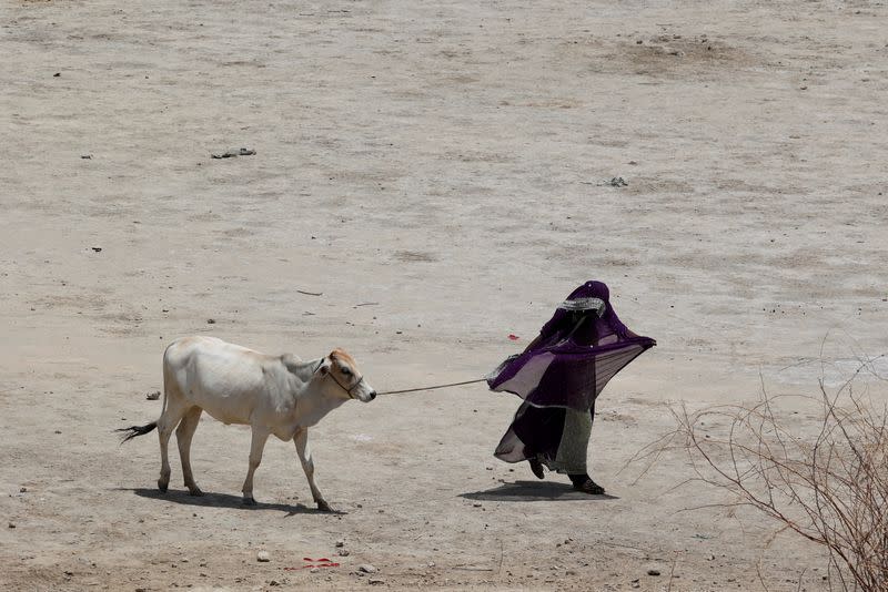 Heatwave continues, in Jamshoro