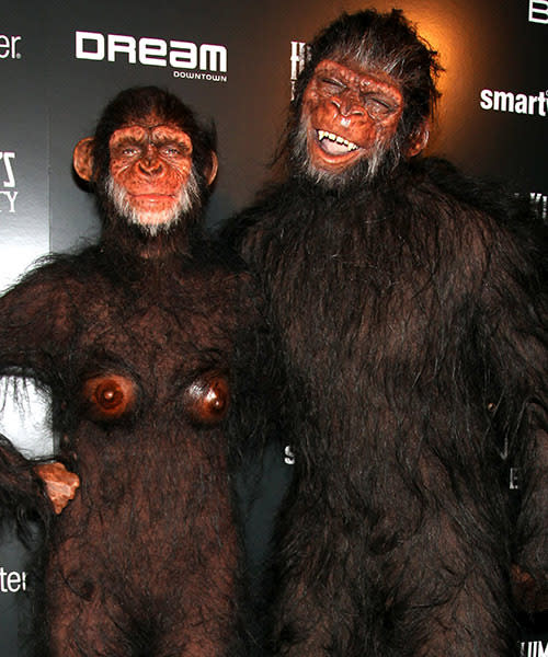 2011: Chimpanzees