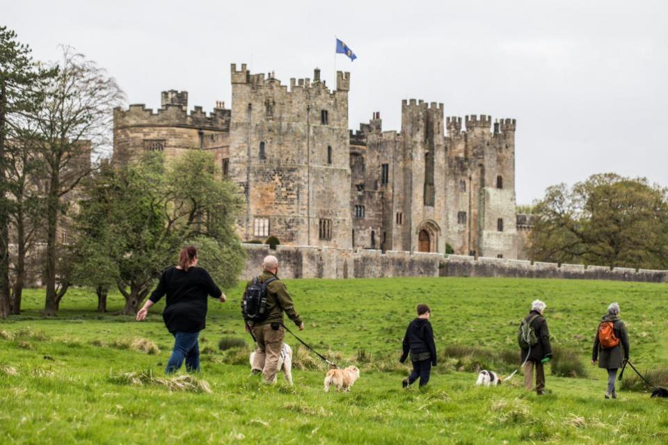 The Northern Echo: The Raby Castle Great British Dog Walk in aid of Hearing Dogs for Deaf People.