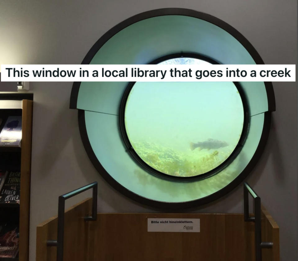 "This window in a local library that goes into a creek"