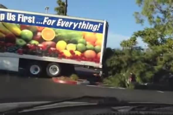 Reversing lorry crashes into tree