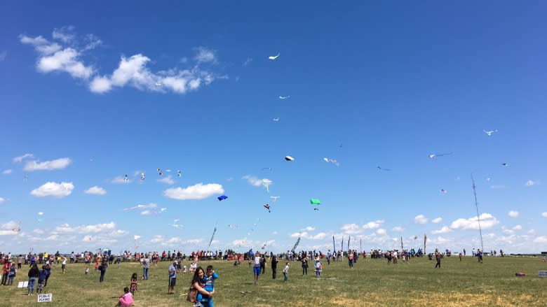 Go fly a kite: International kite lovers gather in Swift Current