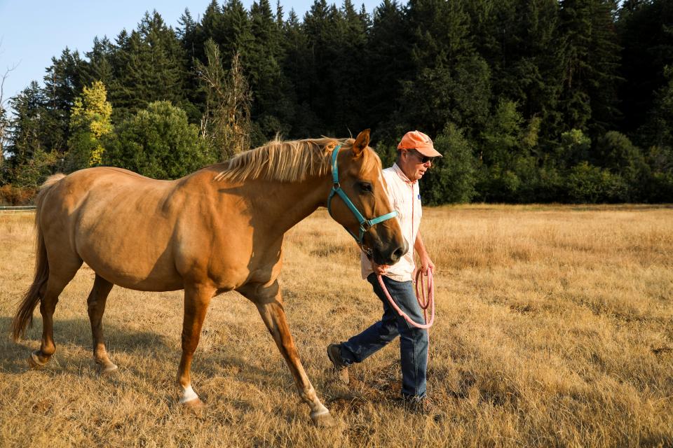 John Sanders evacuates a friend’s horse named Apollo near Joryville Park after a vegetation fire broke out earlier this afternoon on Aug. 23 in Salem.