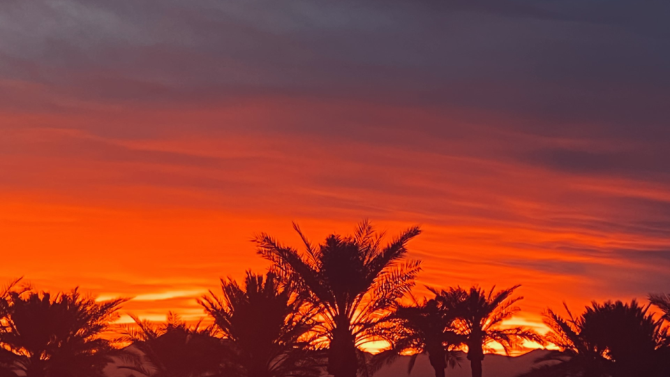 <div>What a classic Arizona sunset! Thanks to Mary Roberts for sharing</div>
