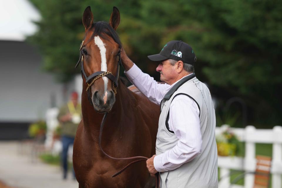 Kentucky Derby winner Mystik Dan gets some pets from assistant trainer Ray Bryner at Pimlico Race Course in Baltimore on May 13, 2024.