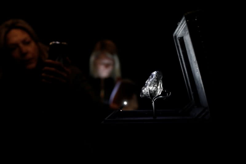 A recently purchased "Sewelo diamond" is displayed during a press preview at the Louis Vuitton store in Paris