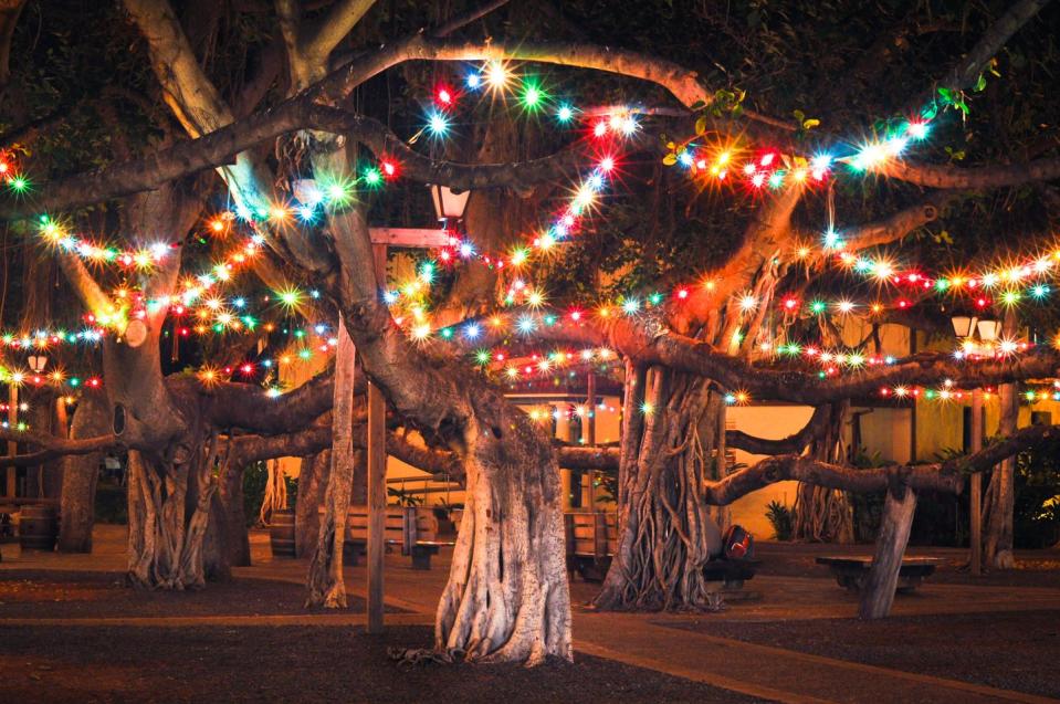 Hawaii: Banyan Tree Park Lighting