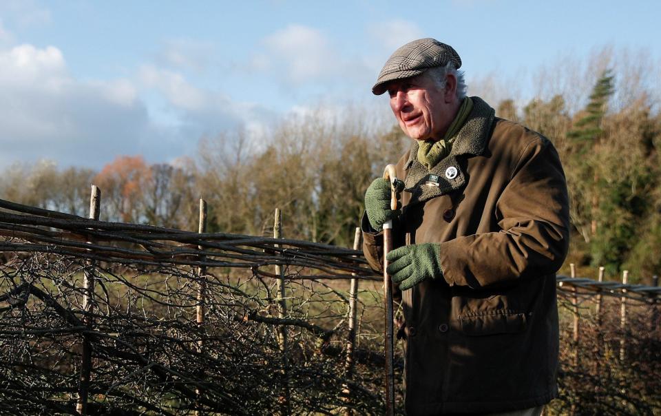 Prince Charles, Prince of Wales attends a hedge-laying event at Highgrove Estate on December 4, 2021 - WPA Pool 