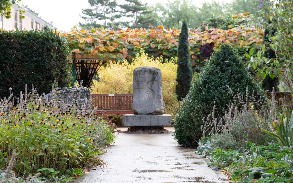 The Jubilee garden at Addenbrooke's Hospital, Cambridge - Adnrew Whiteside