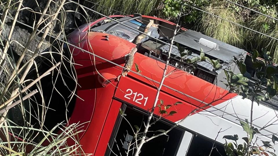 A light rail train was hit by a tree in Pyrmont today after strong winds hit Sydney.