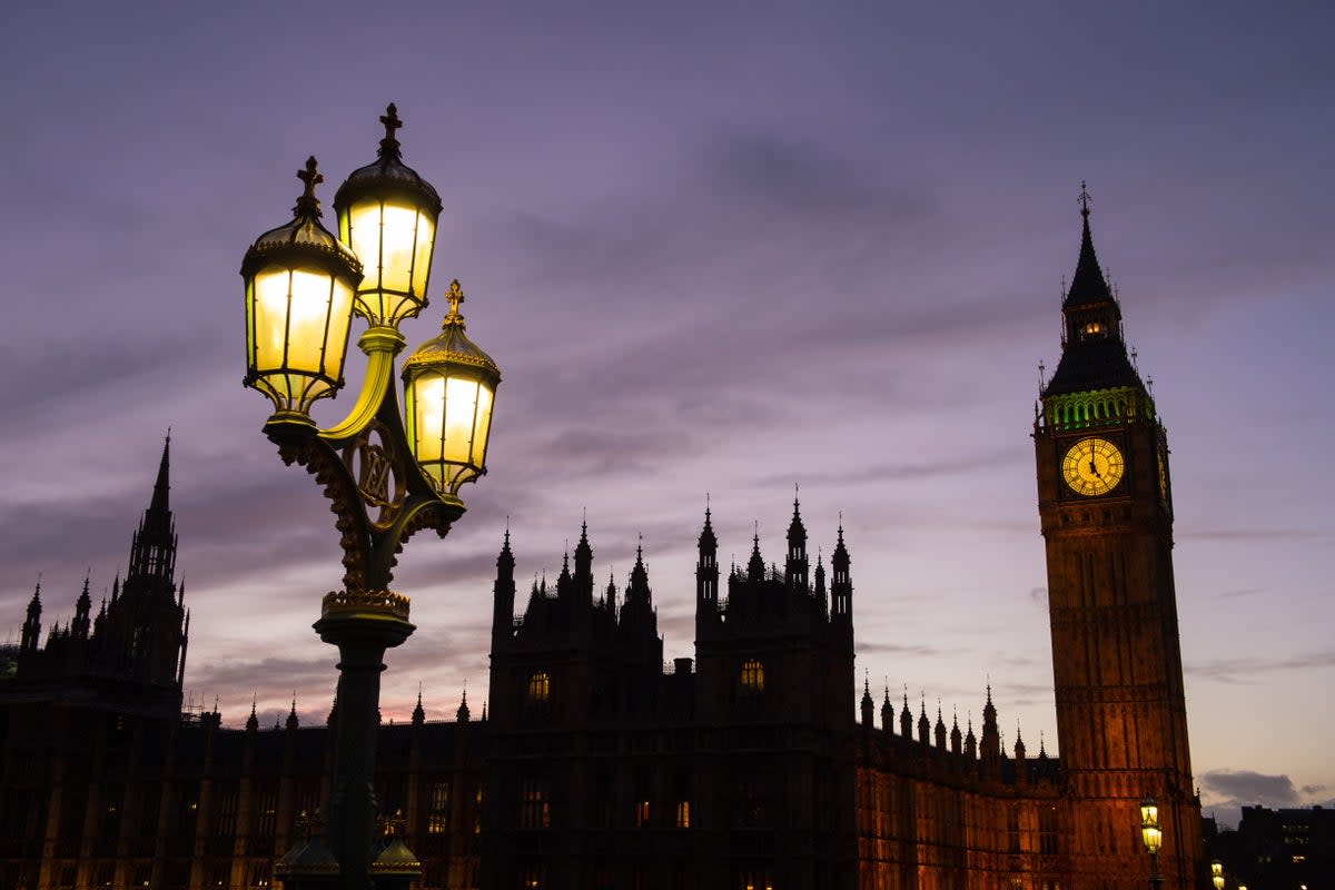 Labour peers refused to back changes to the parole process in a crunch House of Lords debate  (PA Archive)