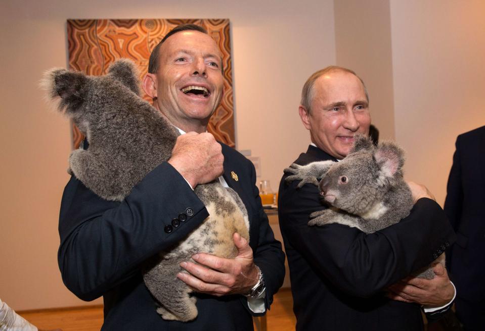 G20 Australia handout photo shows Australia's PM Abbott and Russia's President Putin each holding a koala before the G20 Leaders' Summit in Brisbane