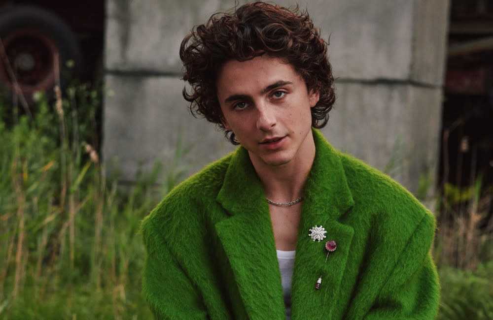 Timothée Chalamet felt he had to star in ‘Bones and All’ to prove it wasn’t inspired by Armie Hammer’s cannibalistic sex fantasy scandal credit:Bang Showbiz