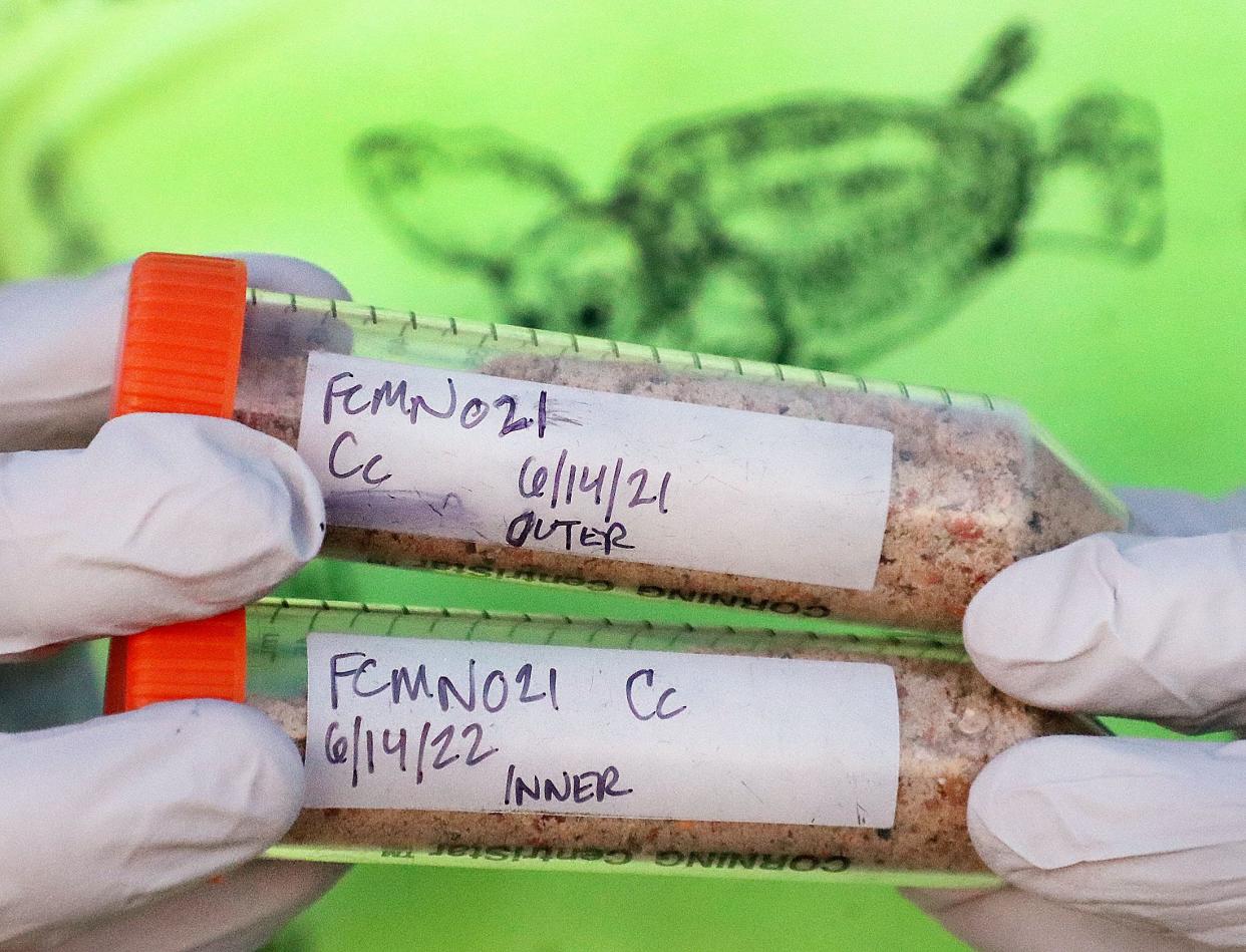 Lucas Meers, a Mickler's Landing Turtle Patrol member, holds two sand samples from a sea turtle crawl on June 14 on the northern St. Johns County, Florida, beach. The sand will be tested for bits of DNA left behind by the sea turtle.