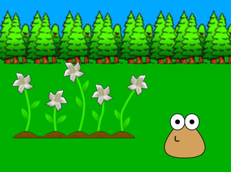 Pou first day.