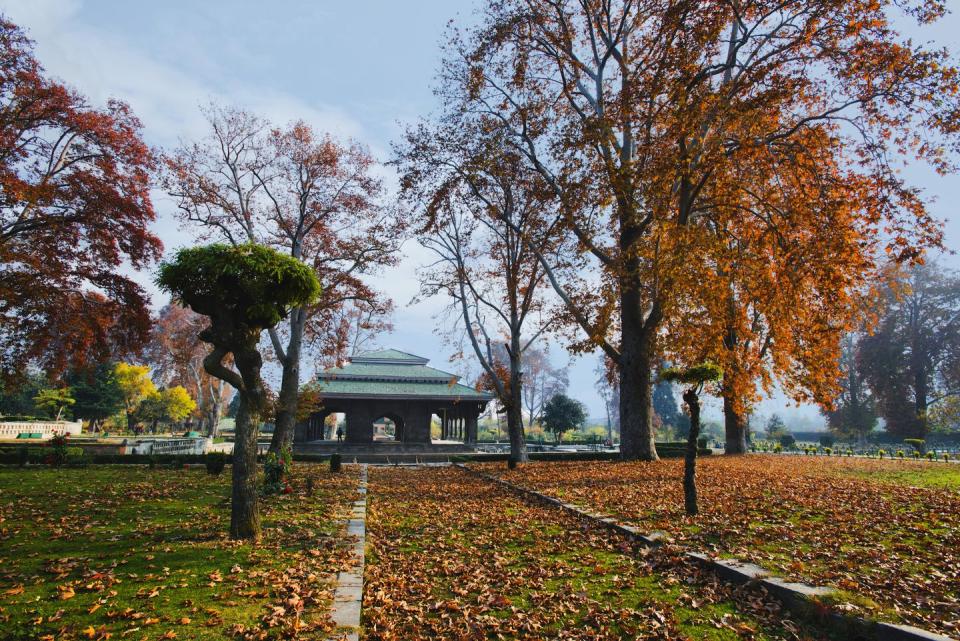 Shalimar Bagh, India